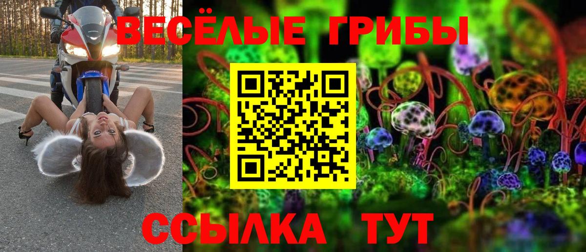 Рыбинск  Галлюциногенные грибы Psilocybe  что такое наркотик  Галлюциногенные грибы мухоморы  Вход с VPN 